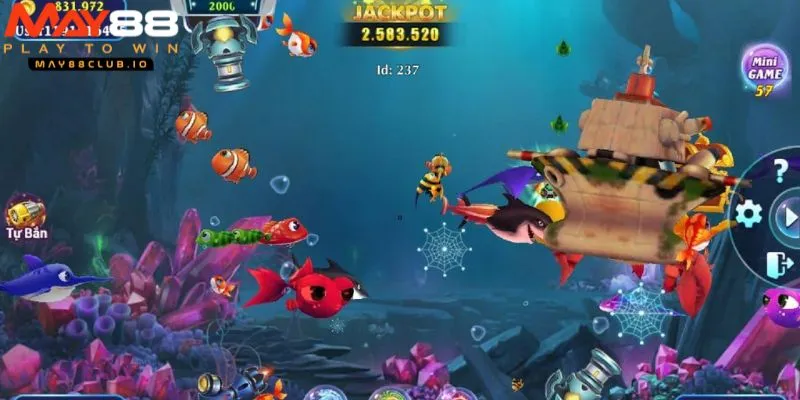 Cần nắm rõ luật chơi trước khi tham gia cá cược bắn cá